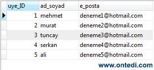 MySQL'de Set (Tanımlama) Örneği 1