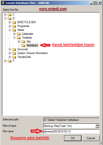 Sql Server Yedek (Backup) Almak