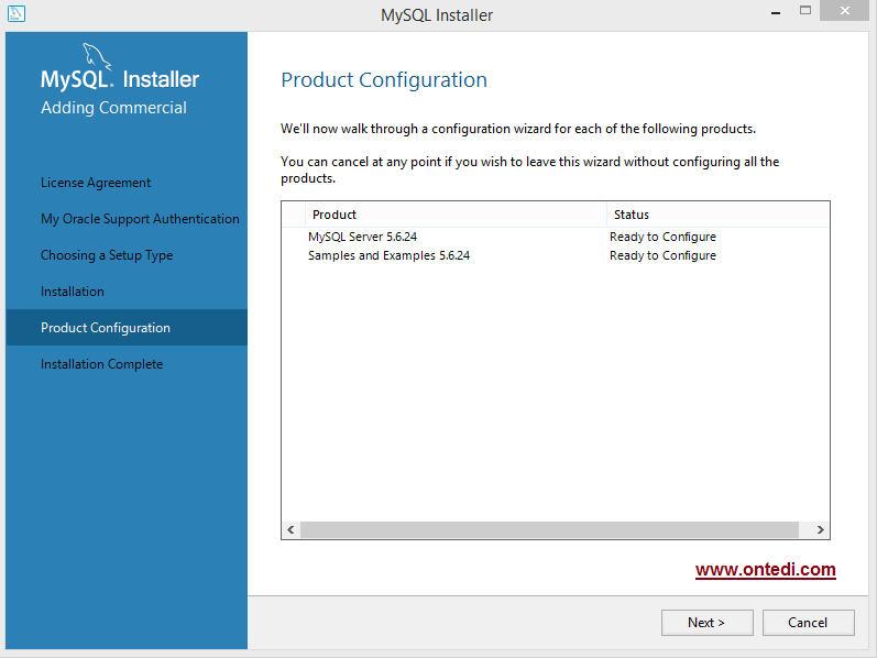 Windows'ta MySQL Kurulumu Adım 8