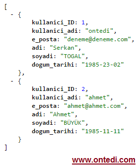 Asp.Net ile JSON Verisi Oluşturma