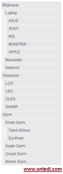 Asp.Net'te Sınırsız Menü ve Alt Menü Örneği 1