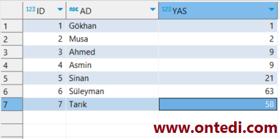 SQL Üzerinde Case When Kullanımı