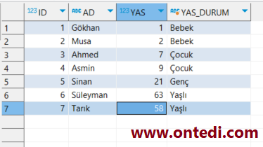 SQL Üzerinde Case When Kullanımı