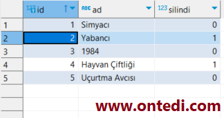 SQL Üzerinde Case When Kullanımı