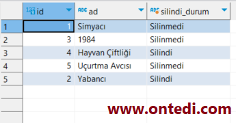 SQL Üzerinde Case When Kullanımı