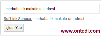 Asp.Net ile Sef Link Metodu