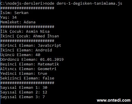 Node.js Çıktı Örneği