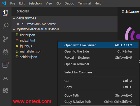 JavaScript İl, İlçe, Mahalle ve JSON Örneği