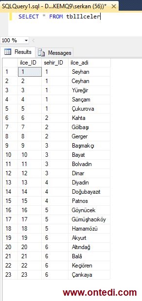 SQL Server'da STUFF Fonksiyonuyla Birden Fazla Kaydı Tek Satırda Gösterme İşlemi