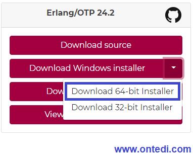 Windows'da RabbitMQ Kurulumu