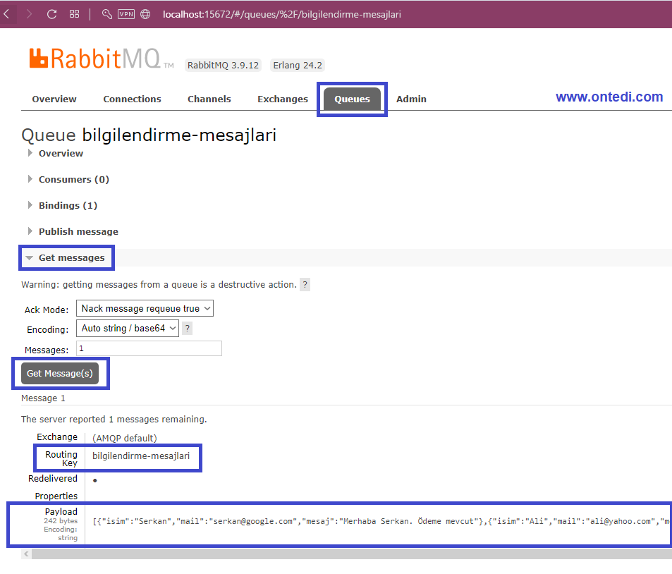 Asp.Net Core ile RabbitMQ Kullanım Örneği