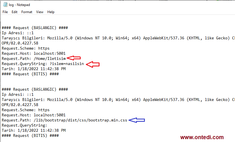 Asp.Net Core ile Middleware Örneği