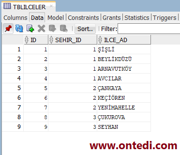 Oracle Update ve Delete İşlemlerinde Join Kullanım Örneği