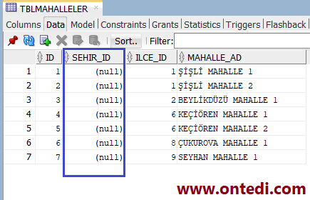 Oracle Update ve Delete İşlemlerinde Join Kullanım Örneği