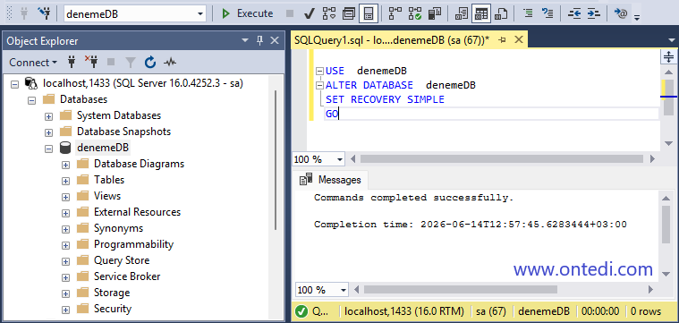SQL Server Log Dosyası Küçültme