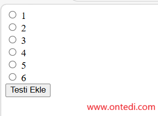 Aynı Name Değerine Sahip Radio Butonlardan Seçim Yaptırmak